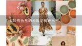 半天妖烤鱼里的米饭是哪种米？半天妖烤鱼是什么鱼