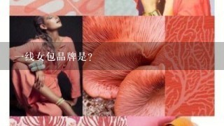 1线女包品牌是？