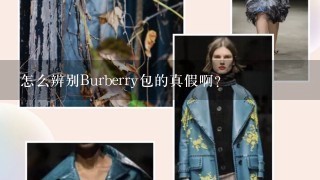 怎么辨别Burberry包的真假啊？