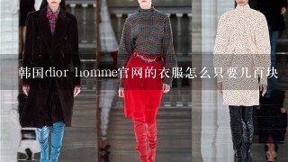 韩国dior homme官网的衣服怎么只要几百块