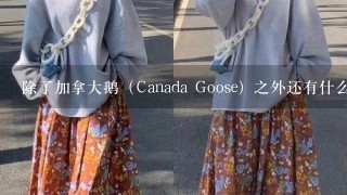 除了加拿大鹅（Canada Goose）之外还有什么高端羽绒服品牌？