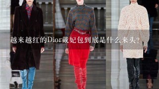 越来越红的Dior戴妃包到底是什么来头？