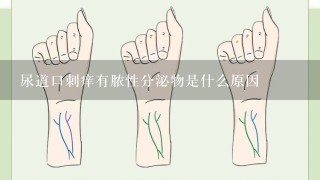 尿道口刺痒有脓性分泌物是什么原因