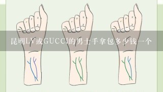 昆明LV或GUCCI的男士手拿包多少钱1个