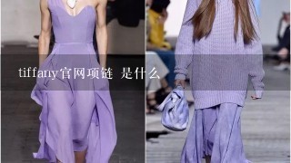 tiffany官网项链 是什么