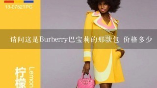 请问这是Burberry巴宝莉的那款包 价格多少