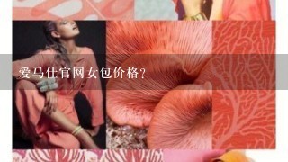 爱马仕官网女包价格？