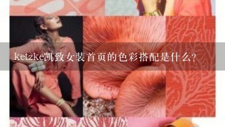 ketzke凯致女装首页的色彩搭配是什么?