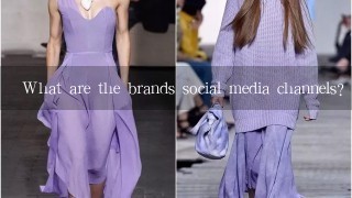 What are the brands social media channels?